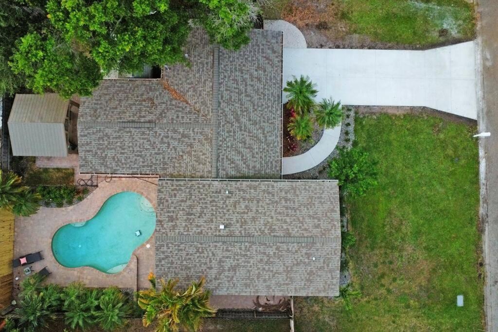 Palm Tree Paradise Tampa Pool Home Esterno foto